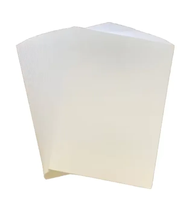 Jingfeng C1s Food Grade Cardboard Utilisation de la tasse